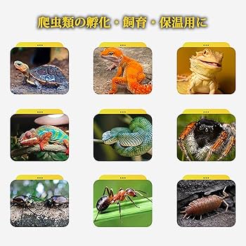 Amazon | Moongiantgo 爬虫類専用孵卵器 高性能 10～40℃温度制御